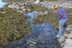 Spy Software for Iphone 6